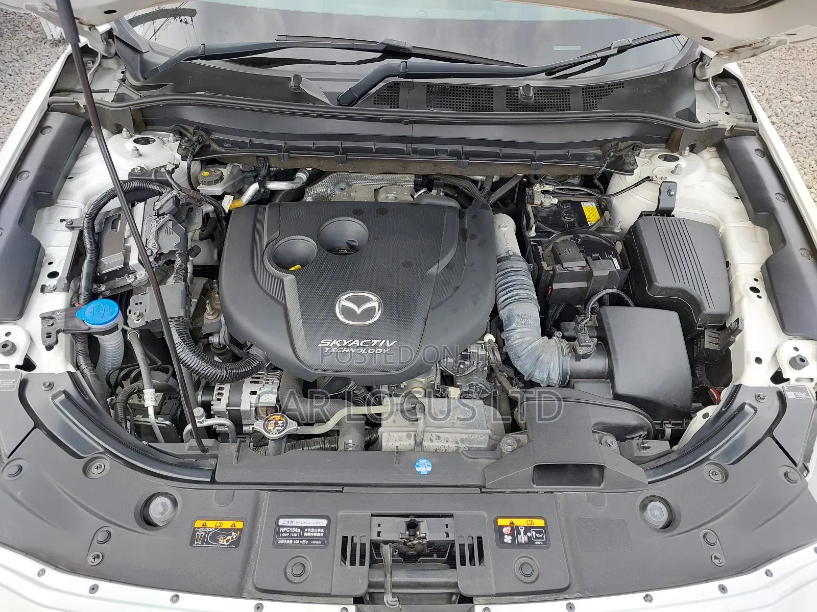 Mazda CX-5 2019 Pearl