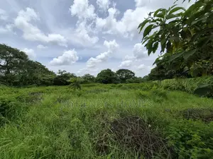 Half Acre Plot for Sale in Kijani Ridge,Tatu City at KSHS 45m