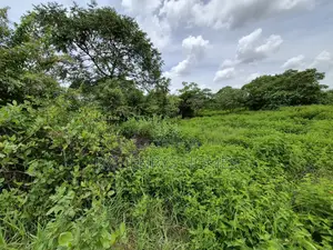 Half Acre Plot for Sale in Kijani Ridge,Tatu City at KSHS 45m
