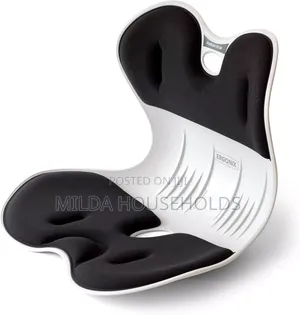 Ergonomic Back Support Seat Cushion.