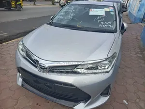 Toyota Corolla Fielder 2019 Silver