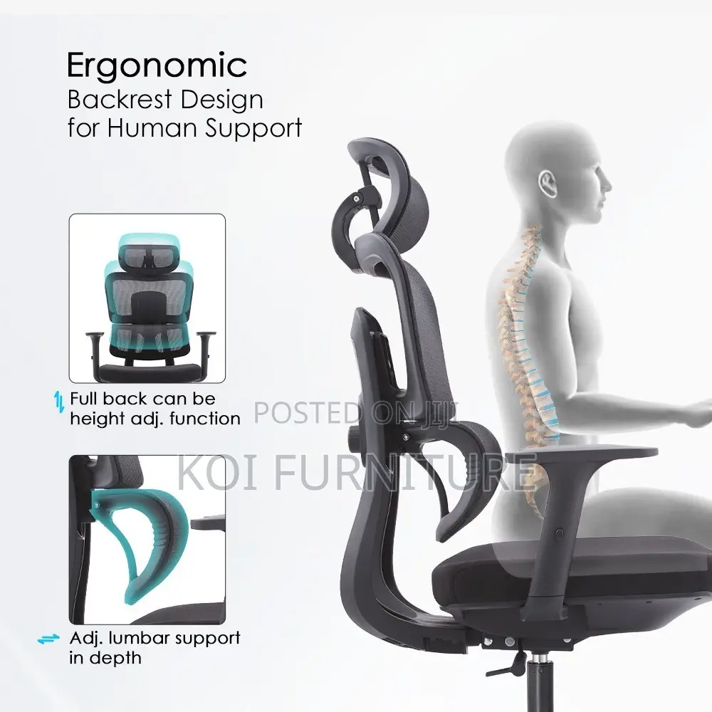 Office Chairs; High Back Orthopedic Executive Office Chair