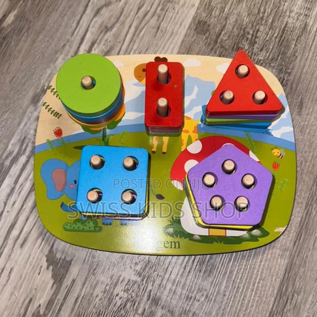Montessori Shape Sorting Puzzle