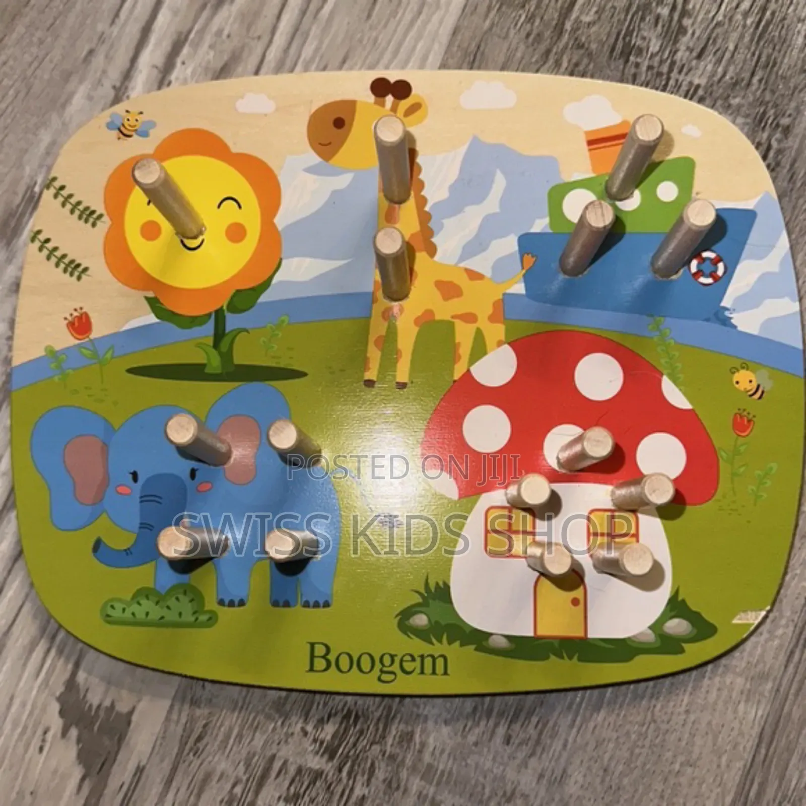 Montessori Shape Sorting Puzzle