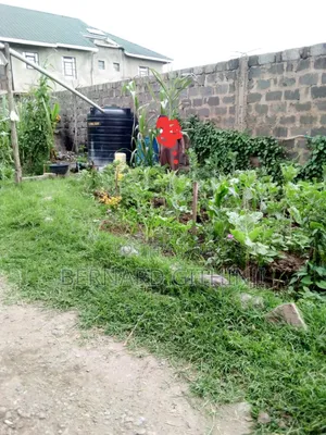 Prime Plot for Quick Sale in Mastore (Juja Farm) Near Abba Salama SCH