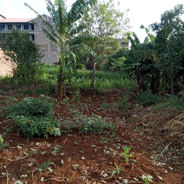 Prime 50x100 Plots for Sale at Gakwegori Embu