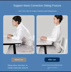 Ergonomic Back Support Lumbar Seat Cushion