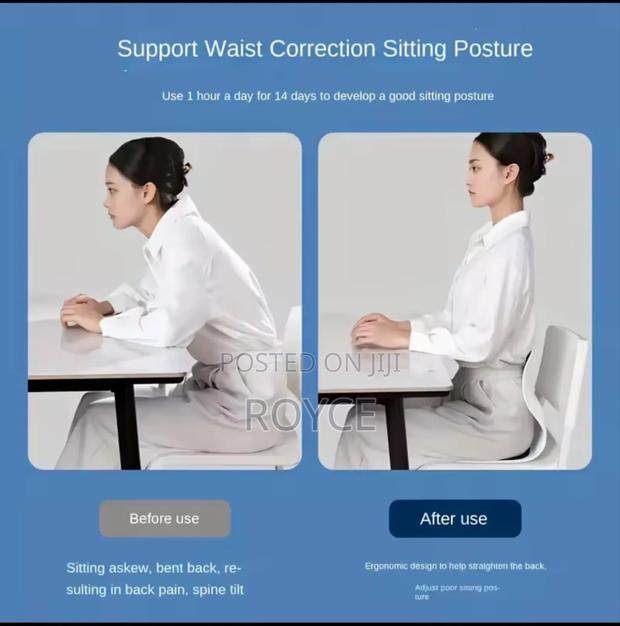 Ergonomic Back Support Lumbar Seat Cushion - thumbnail 3