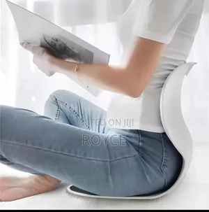 Ergonomic Back Support Lumbar Seat Cushion