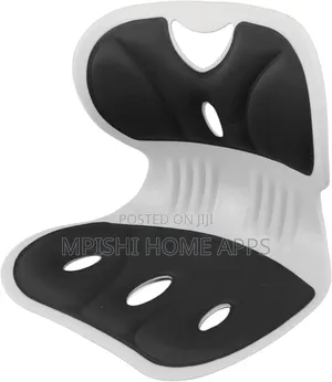 Ergonomic Back Support Seat Cushion