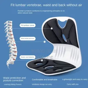 Ergonomic Back Support Lumbar Seat Cushion