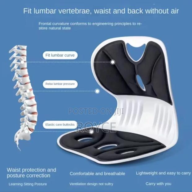 Ergonomic Back Support Lumbar Seat Cushion - thumbnail 5