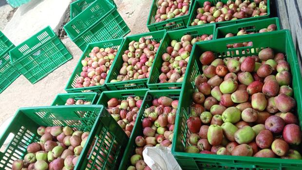 Apples for Sale - thumbnail 4