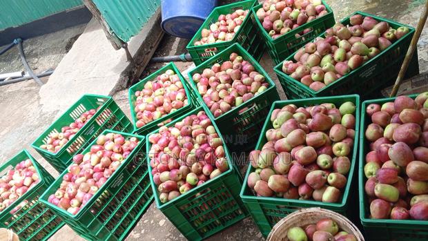 Apples for Sale - thumbnail 3