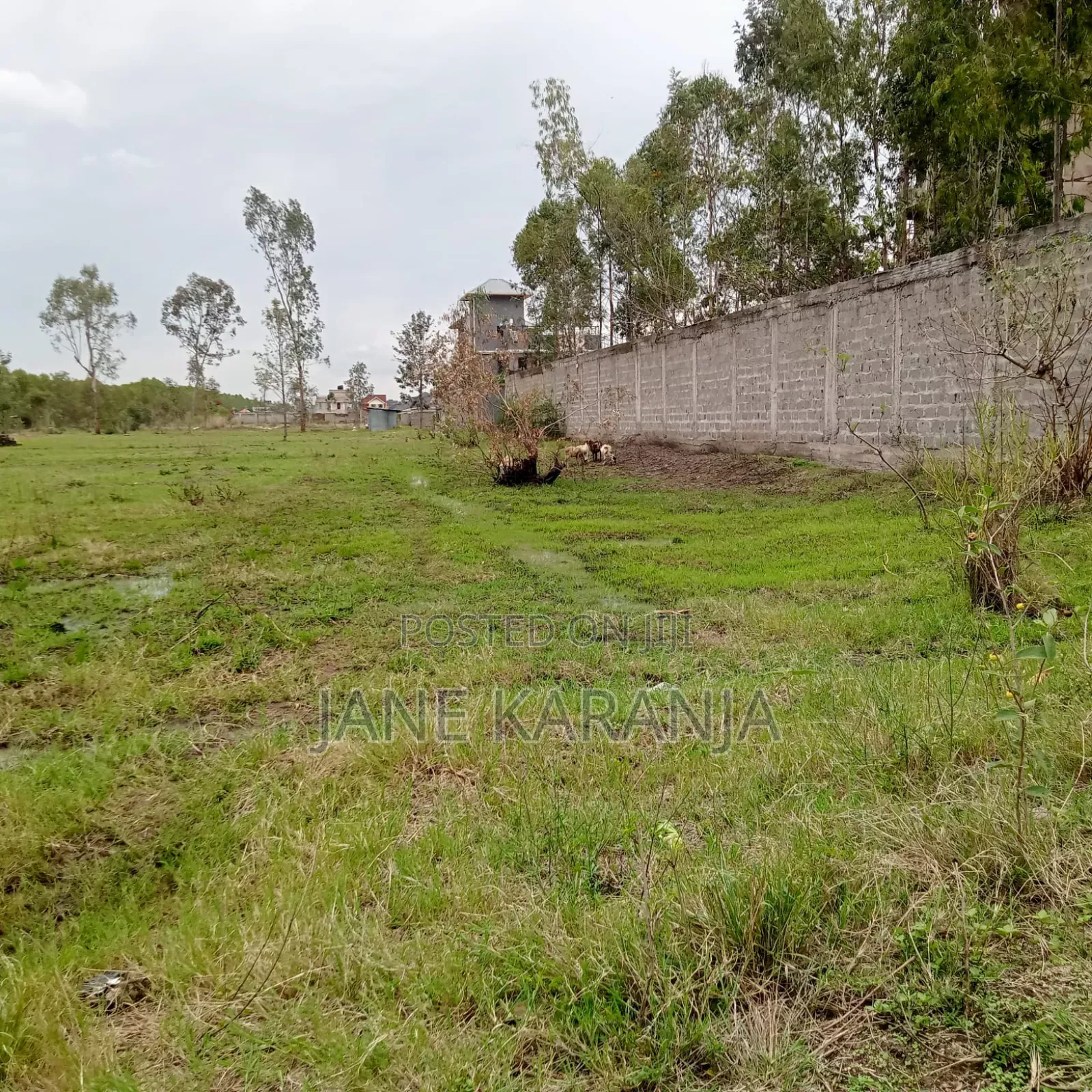 4.7 Acres Mwihoko Near Mutuya Police Station 40m Whole Block