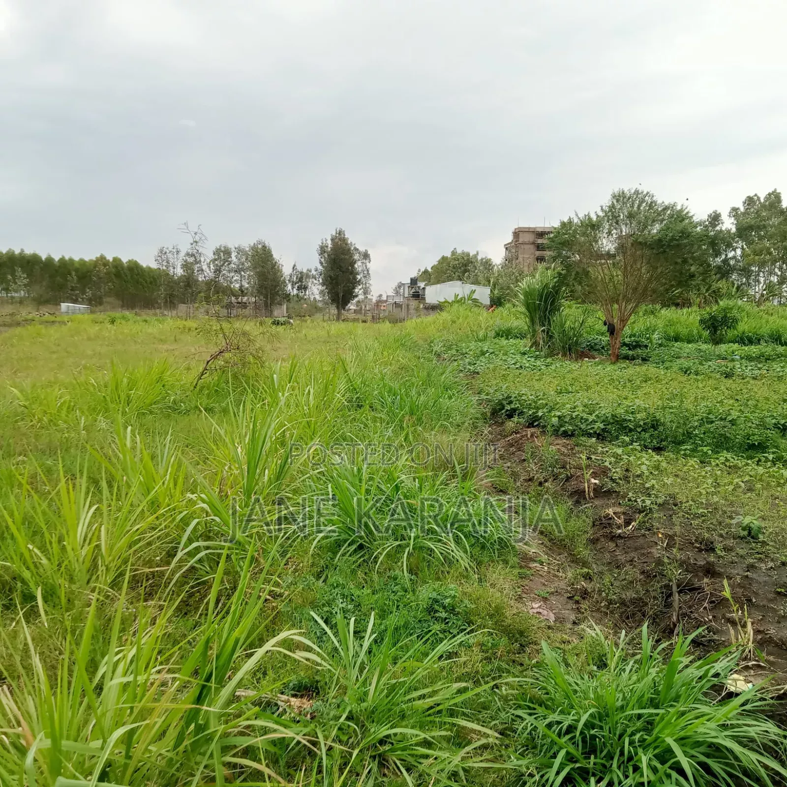 4.7 Acres Mwihoko Near Mutuya Police Station 40m Whole Block