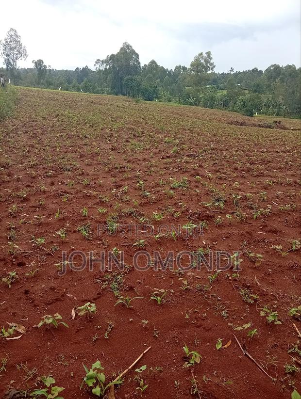 Land for Sale - main view