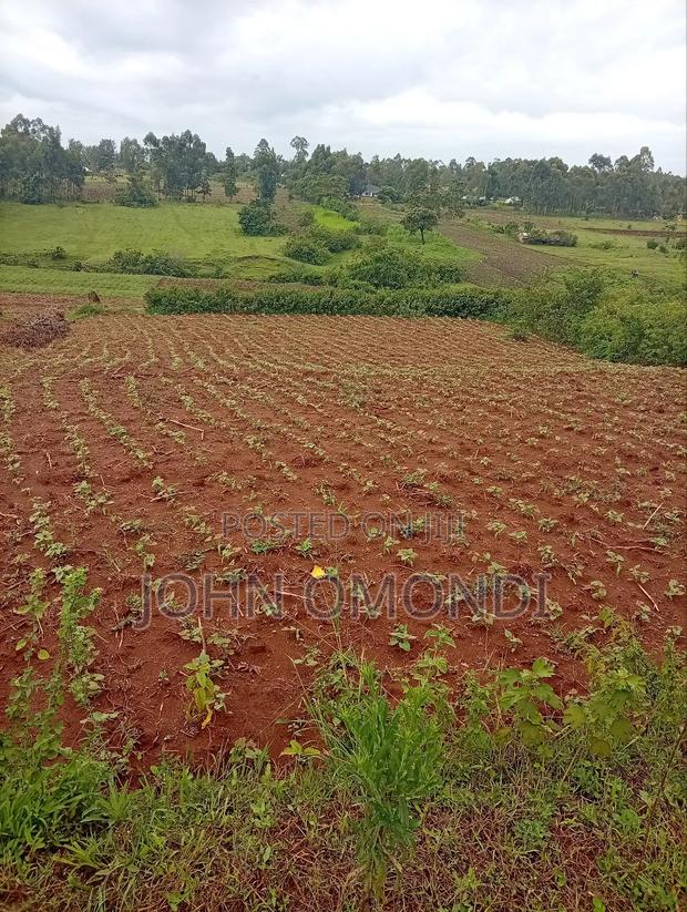 Land for Sale - thumbnail 2
