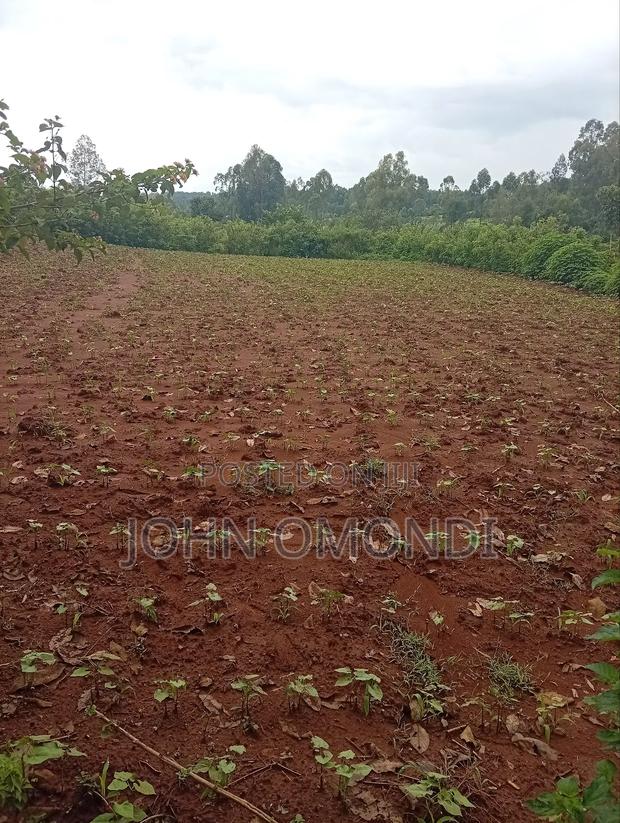 Land for Sale - thumbnail 3