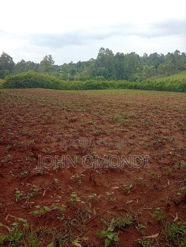 Land for Sale - thumbnail 4