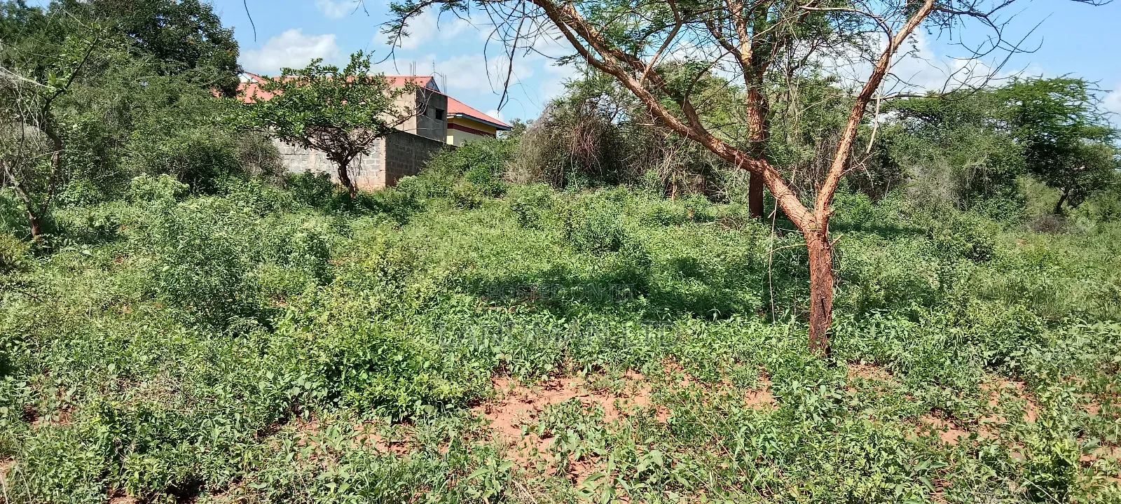 Kenol Makutano Plots for Sale Kwa Samaki .