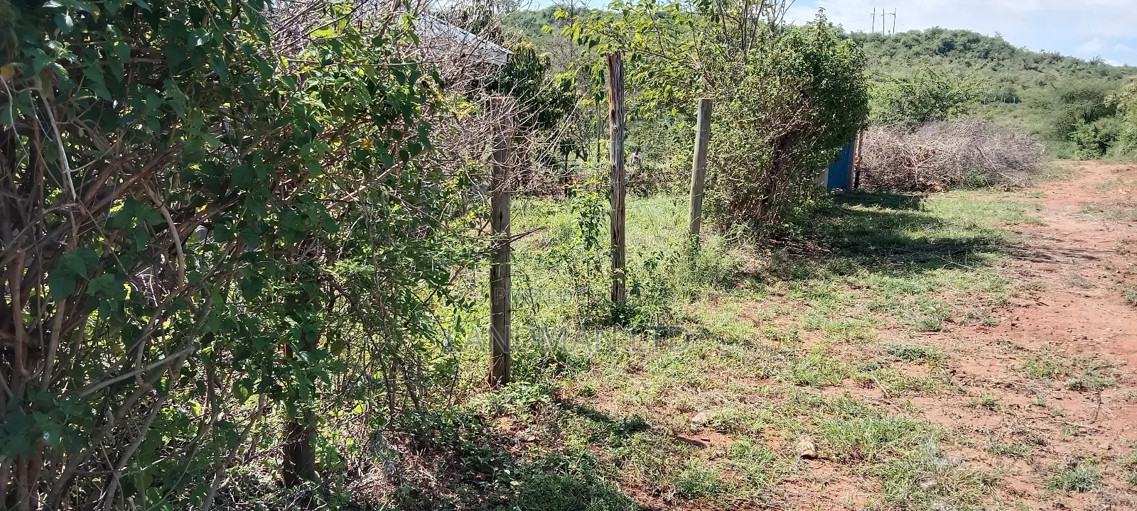 Kenol Makutano Plots for Sale Kwa Samaki .