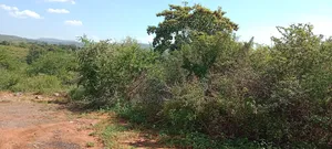 Kenol Makutano Plots for Sale Kwa Samaki .