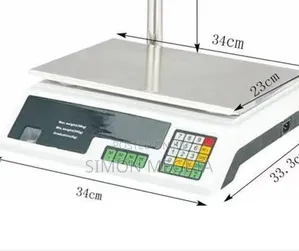 Premier 40 Kgs Scale With Arm