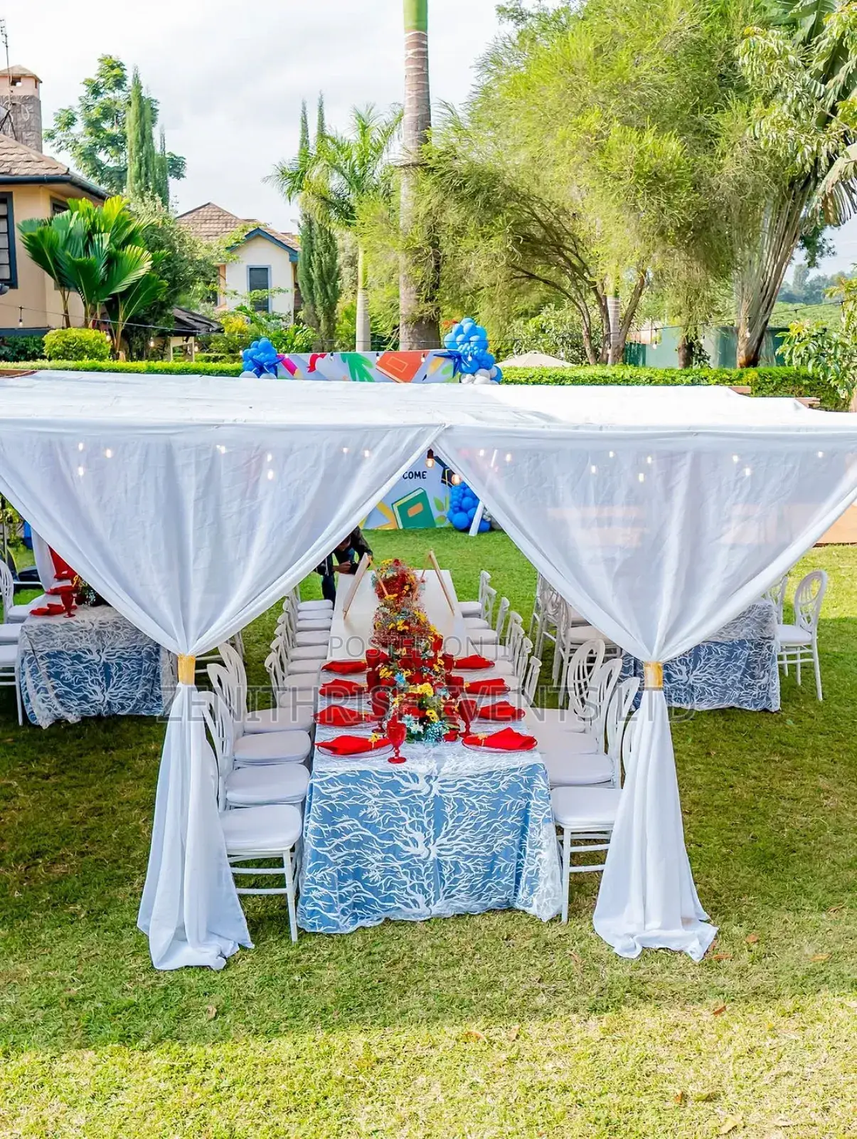 Birthday Party Set Up
