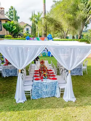 Birthday Party Set Up