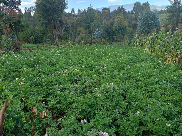 5 Acres for Sale - thumbnail 2