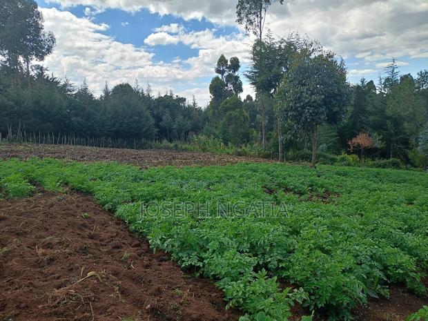 5 Acres for Sale - thumbnail 3