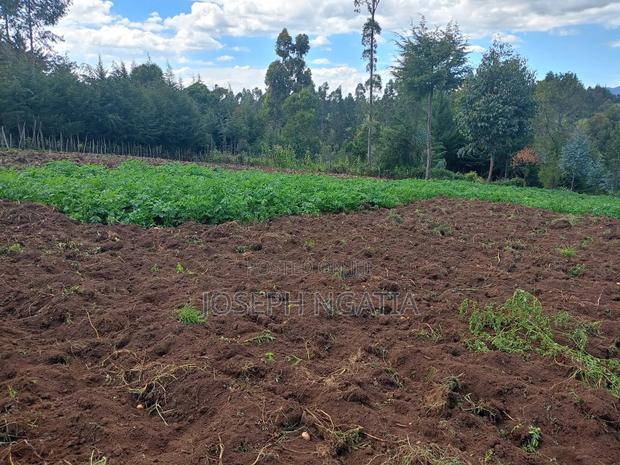 5 Acres for Sale - thumbnail 4