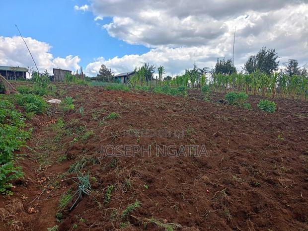 5 Acres for Sale - thumbnail 5