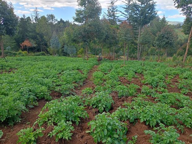 5 Acres for Sale - thumbnail 6