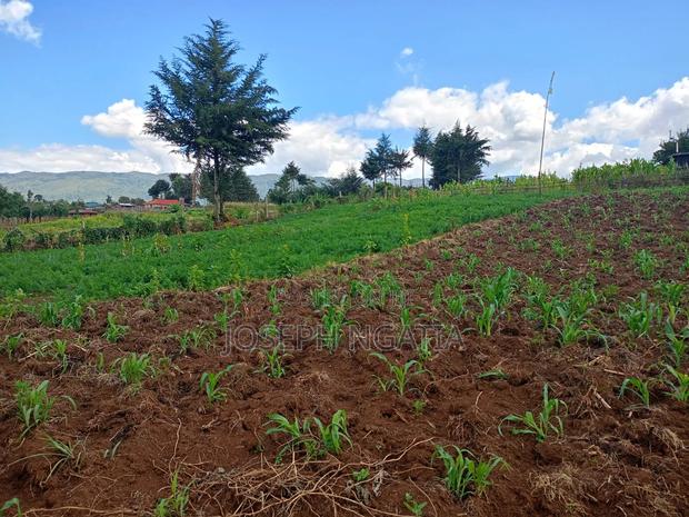 5 Acres for Sale - thumbnail 7