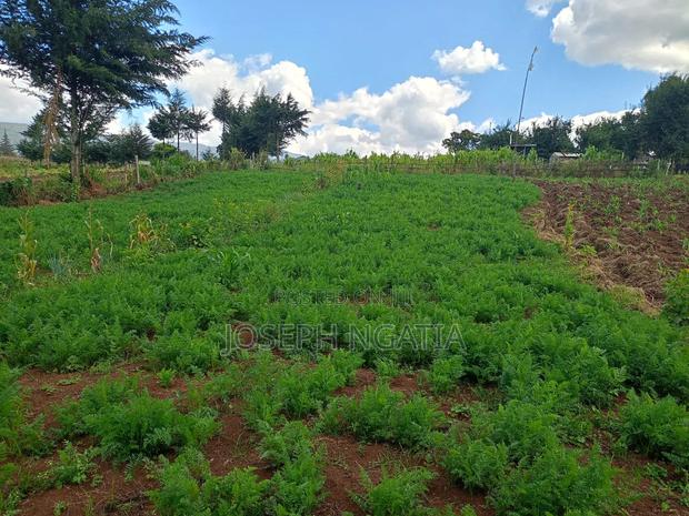 5 Acres for Sale - thumbnail 8