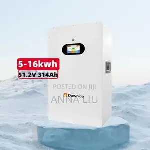 Dawnice 16kwh 51.2v 314ah Deep Cycle Solar Battery