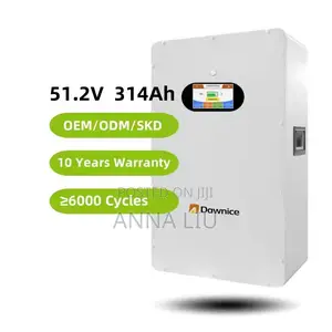 16kwh Dawnice Wall-Mount Lithium Battery 51.2v 314ah