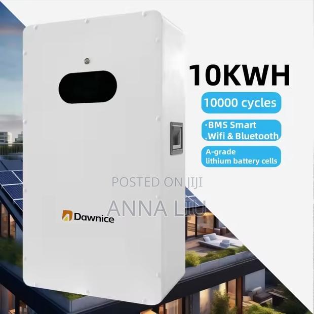 Dawnice 10kwh Lifepo4 51.2v 205ah Smart Solar Storage