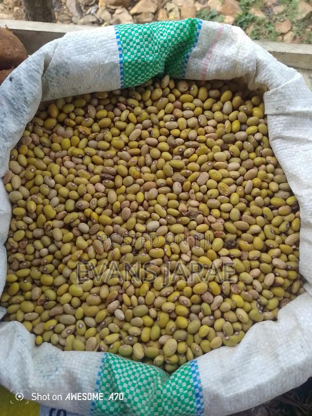 Yellow Green Beans in Kenya
