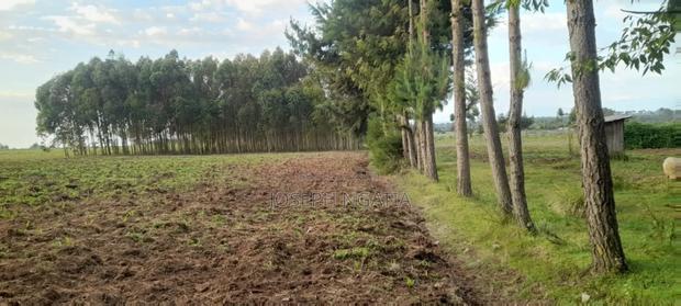 3.5 Acres Land for Sale