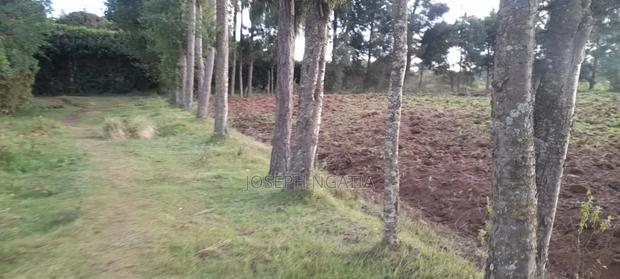 3.5 Acres Land for Sale - thumbnail 2