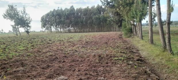 3.5 Acres Land for Sale - thumbnail 3