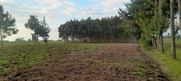 3.5 Acres Land for Sale - thumbnail 4