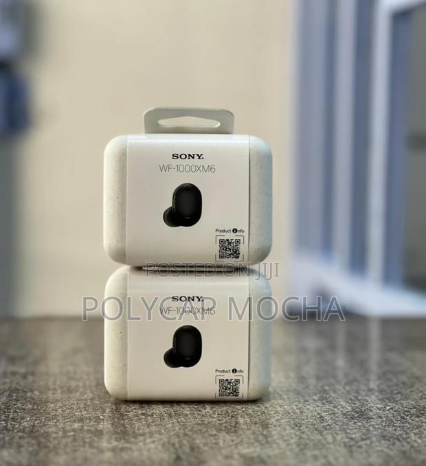 Sony Wf-1000xm6 Earbuds