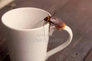 Fumigation Against Household Pests- Cockroaches and Bedbugs