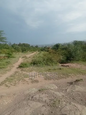 Prime One Acre Beach Plot in Rusinga Island