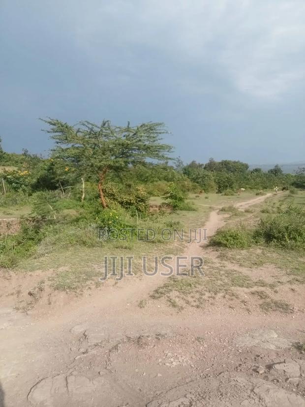 Prime One Acre Beach Plot in Rusinga Island - thumbnail 2