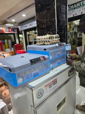 64-Egg Incubator – Drawer Type 